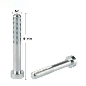 Socket Flange Cap Screw Torx Screw Bolt