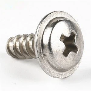 Roostevabast terasest pannipea väike Phillipsi kruvi