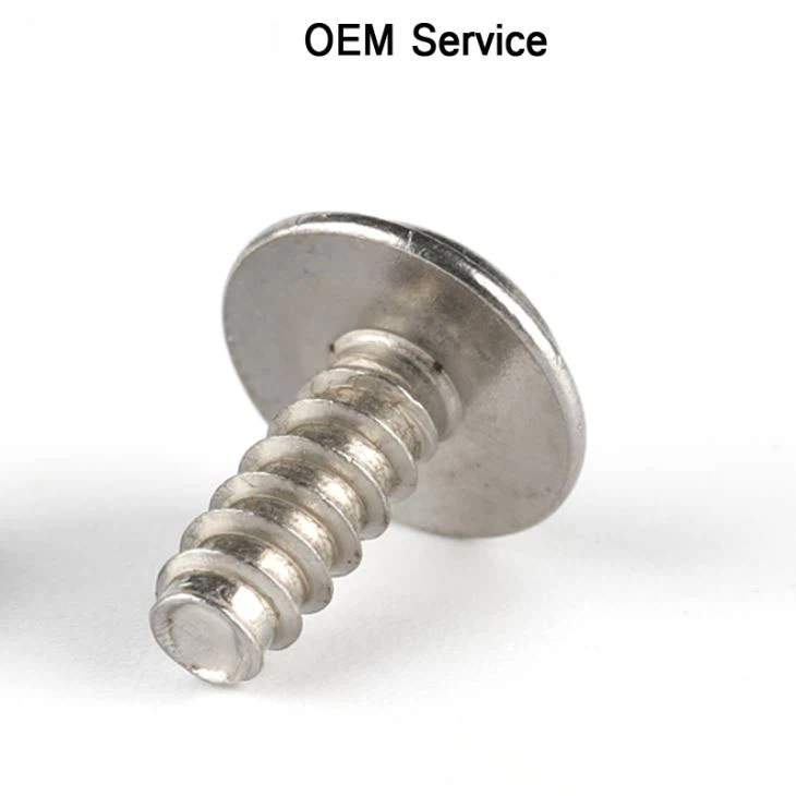 Stainless Steel Pan Head Small Phillips Screw